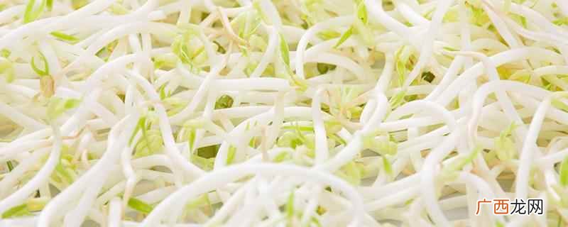 绿豆芽生吃有毒吗 绿豆芽生的可以吃吗,绿豆芽生吃有毒吗