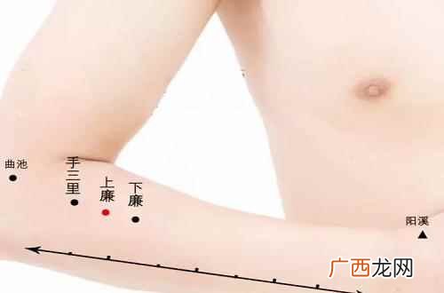 下廉的准确位置图精确定位 下廉的准确位置图,下廉准确位置图和作用