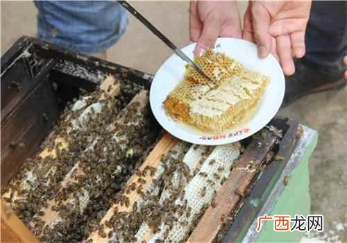 蜂胶吃了有什么好处和坏处 蜂胶吃了有什么好处