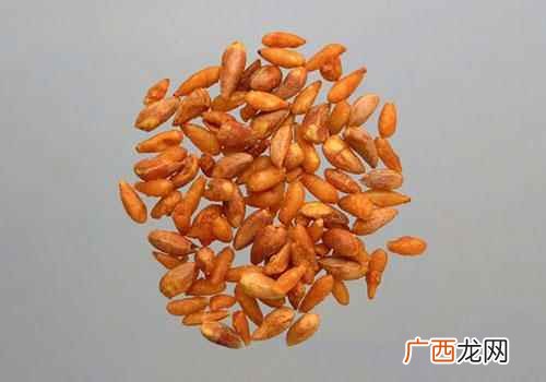 柏子仁的功效与作用点 柏子仁的功效与作用