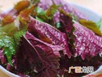 海螺蘸料汁怎么调
