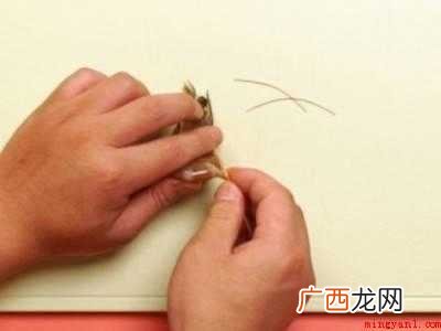 虾要怎么做才好吃