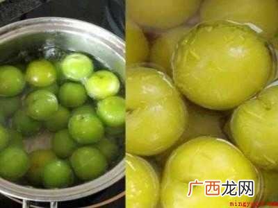怎么腌李子酸一年还脆口