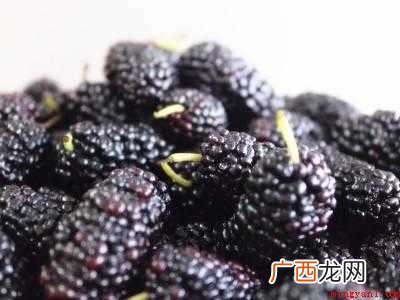 桑葚的清洗方法共有4步 桑葚的清洗方法