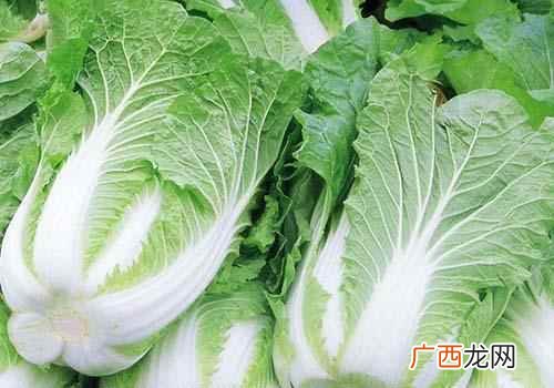 白菜含有什么营养成分最高 白菜含有什么营养成分