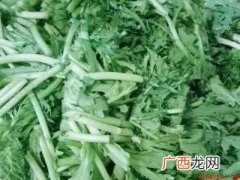 怎样炒茼蒿