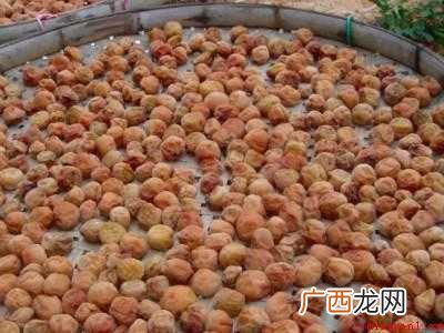 青梅干怎么制作