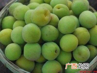青梅干怎么制作