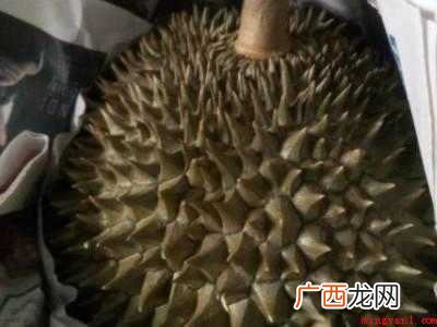 买回家的榴莲怎样加快成熟