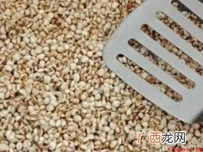 怎么判断薏米炒熟了没