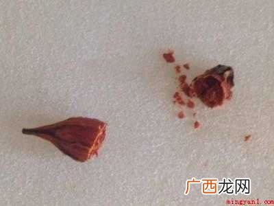 盐焗粉怎么使用