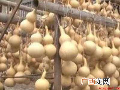 葫芦怎么做