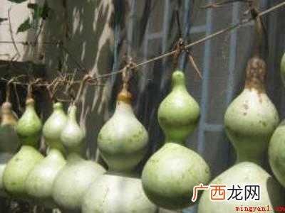 葫芦怎么做