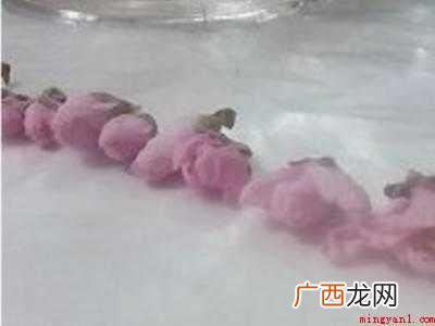 桃花酿酒方法和步骤