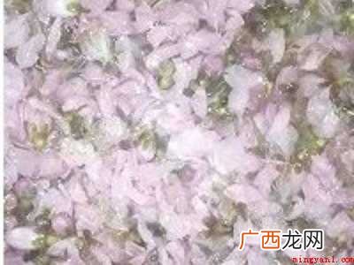 桃花酿酒方法和步骤