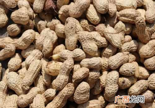 黑皮花生可以生吃吗 黑皮花生的皮可以吃吗