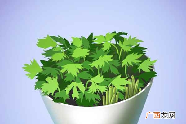 伤风感冒吃什么食物好的快