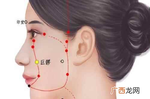巨髎的准确位置图精确定位 巨髎的准确位置图,巨髎的准确位置图作用