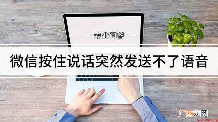 微信按住说话突然发送不了语音