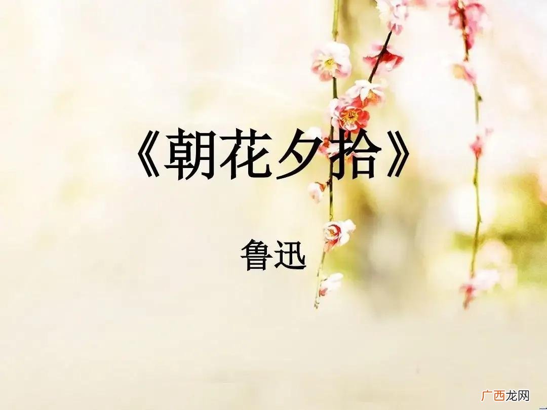 朝花夕拾每章内容概括 朝花夕拾的主要内容