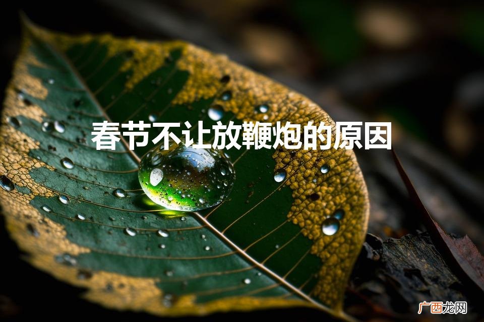 春节不让放鞭炮的原因是什么 春节不让放鞭炮的原因