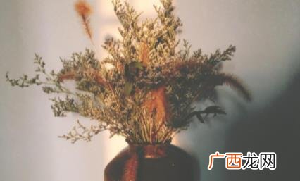 干花怎么才能不掉 干花会不会枯萎