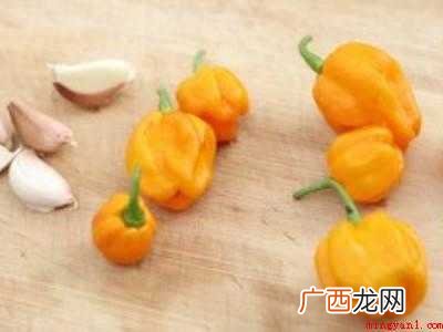 黄灯笼酱是什么酱