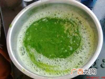 豆腐柴树怎么做豆腐