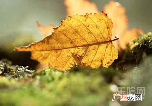 驱虫药什么时候吃最好儿童 驱虫药什么时候吃最好