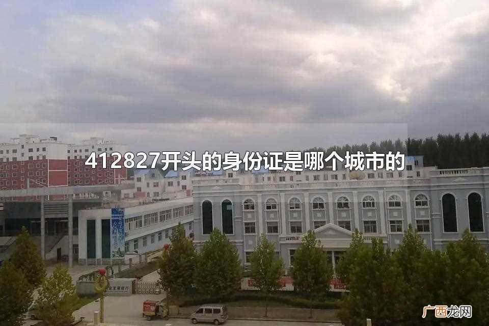 412827开头的身份证是河南省驻马店平舆县的 412827开头的身份证是哪个城市的