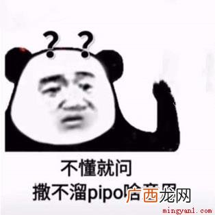 somebody简化成sb,连起来就是骂人sb的意思 撒不溜pipo啥意思
