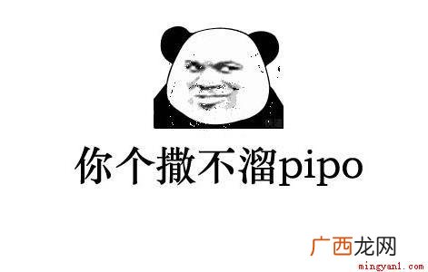somebody简化成sb,连起来就是骂人sb的意思 撒不溜pipo啥意思