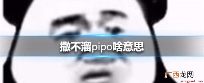 somebody简化成sb,连起来就是骂人sb的意思 撒不溜pipo啥意思