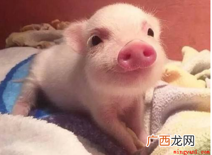 世界上最奇怪的事是什么 世界上最奇怪的事