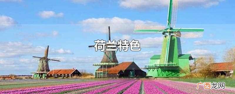 荷兰被誉为 荷兰特色