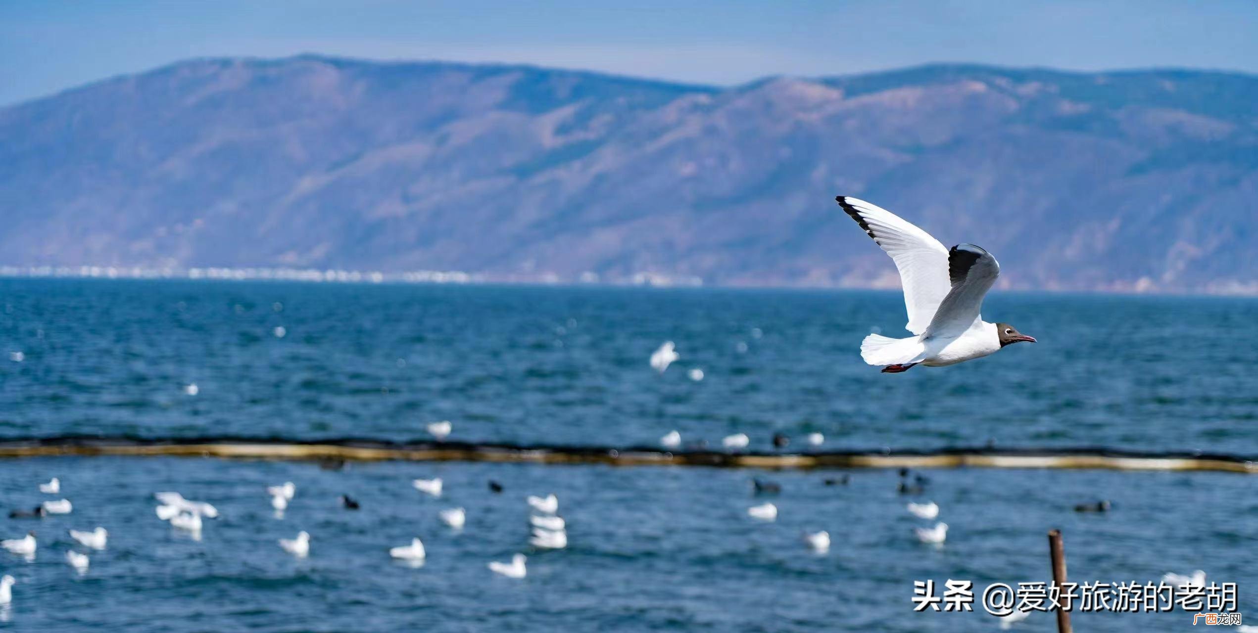洱海什么季节去最好 云南洱海几月份去最好