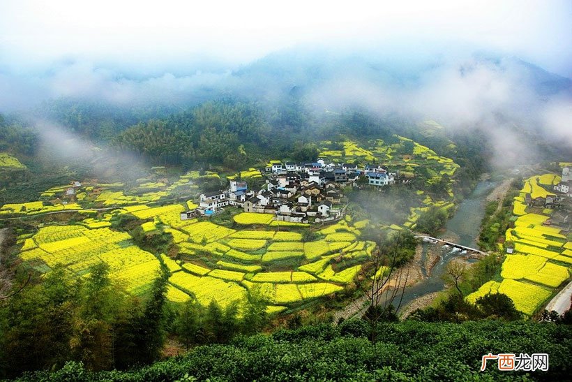 书湖阴先生壁全诗的含义 两山排闼送青来的前一句是什么
