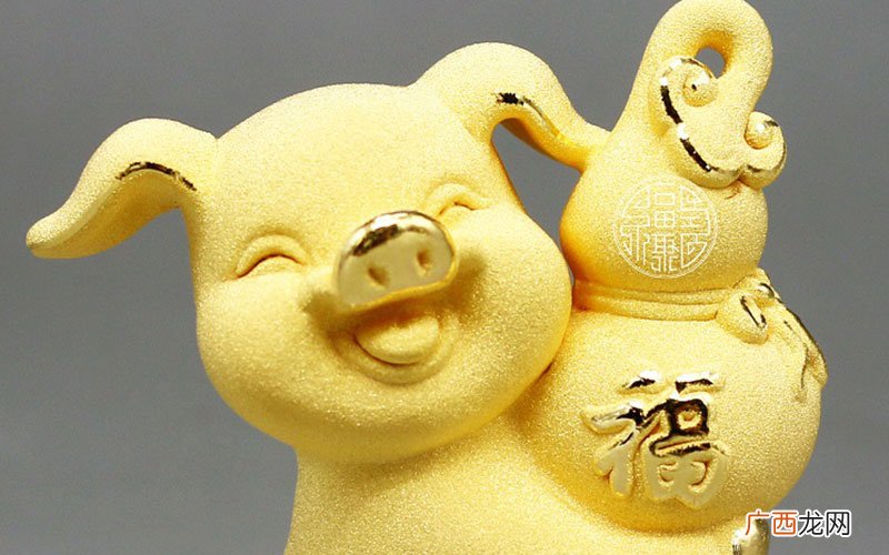 属猪出生在这几个月是富贵命 属猪几月出生最好命