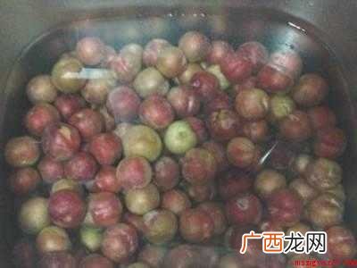 李子干蜜饯的制作方法