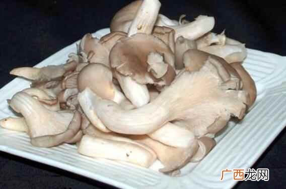 平菇的营养价值 平菇的热量