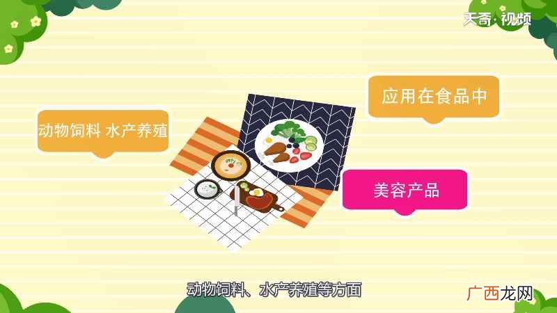 大豆肽粉含有多种生物活性肽 大豆肽粉的功效与作用