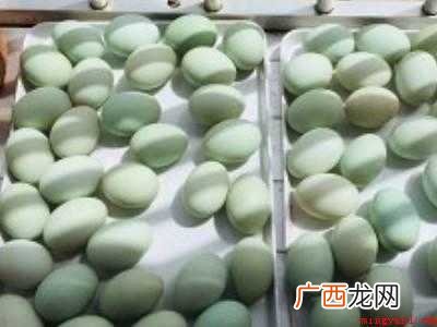 鸭蛋外面的粪怎么处理