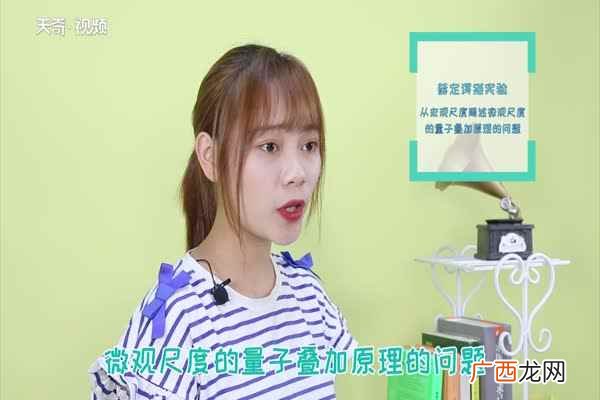 薛定谔的猫是奥地利著名物理学家 什么是薛定谔的猫