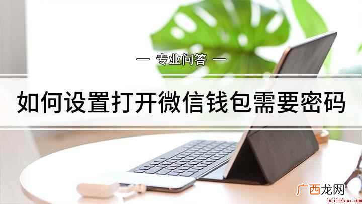 微信钱包如何设置钱包安全锁 如何设置打开微信钱包需要密码