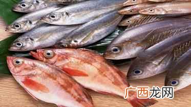 鲢鱼的做法大全 鲢鱼的做法