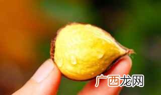 板栗的功效与作用 糖炒栗子做法