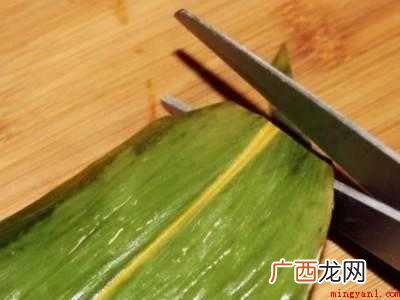 芦苇叶包粽子怎么处理