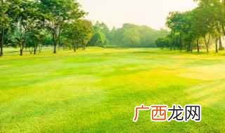 java培训哪个好 grass英语怎么读