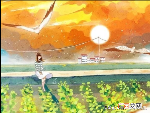 4本现代高质量虐文小说完结 短篇虐文言情小说推荐