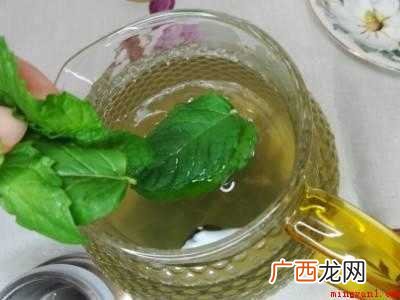 薄荷茶怎么泡好喝